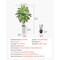 Green-White PE Dracaena Artificial Plant Lifelike Indoor Tree with Moss Pot